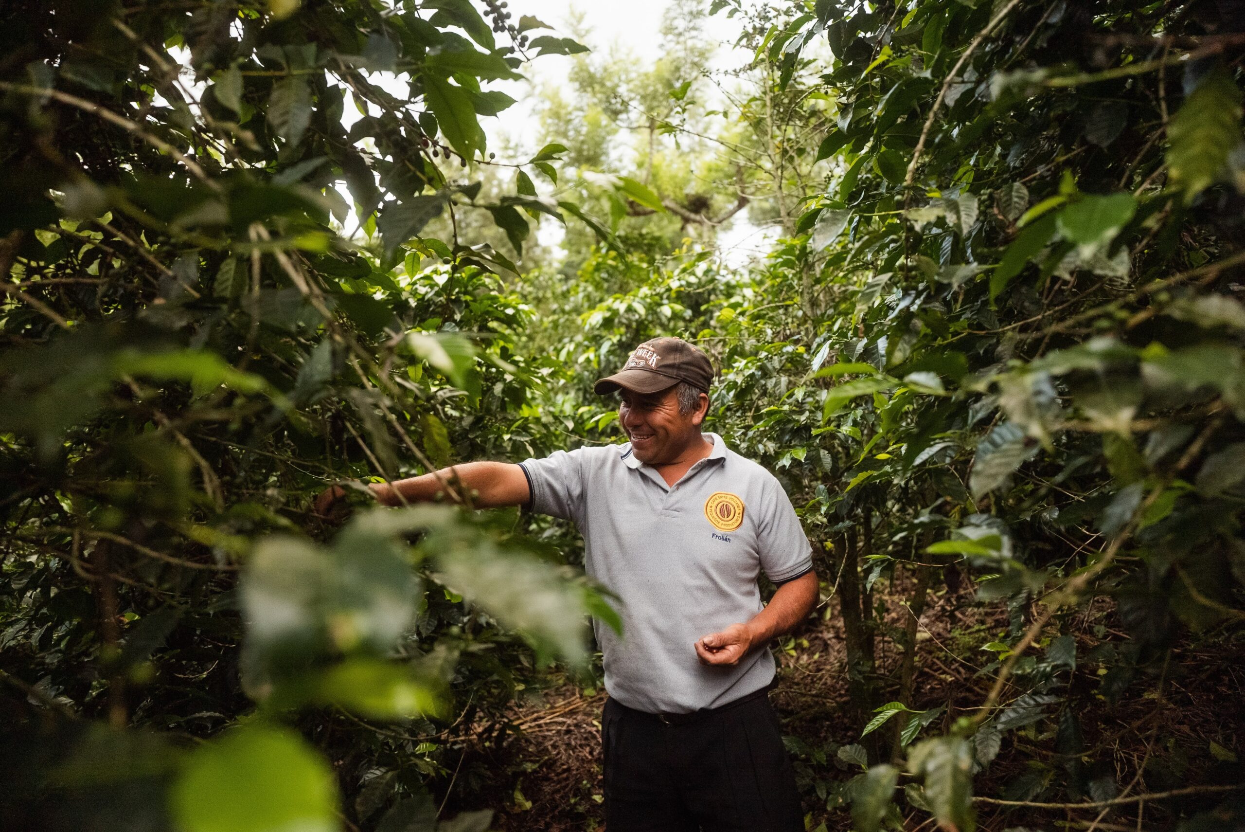 Coffee Farmer